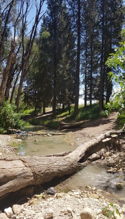 נחל קיני במורדות רמות מנשה - צומת מגידו