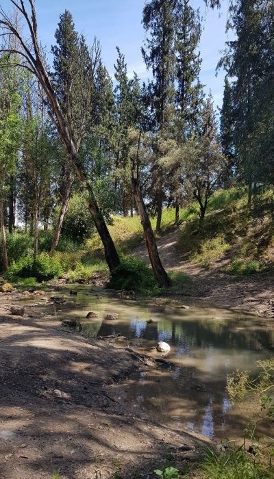 נחל קיני במורדות רמות מנשה - צומת מגידו
