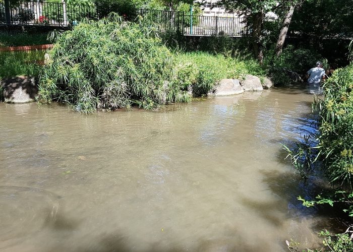 נחל עין הזהב - פארק הזהב קרית שמונה