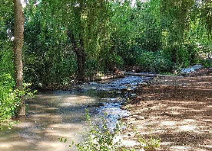 נחל עין הזהב - פארק הזהב קרית שמונה