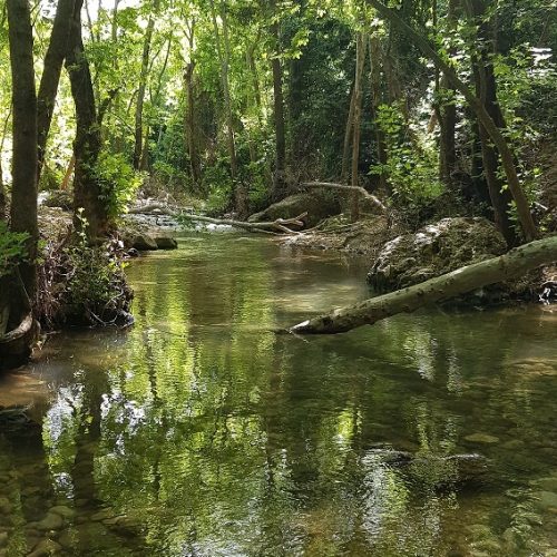 עין חרדלית נחל כזיב