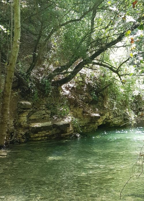 עין חרדלית נחל כזיב