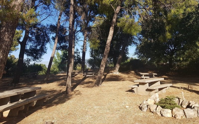 קיבוץ מלכיה – תצפיות מופלאות בקיבוץ הצפוני שכדאי להכיר