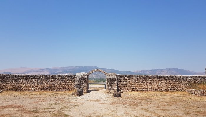 חורבת ירדה ועין ירדה - נחל מחניים