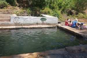 עין עלמין – בריכת קצינים ברמת הגולן