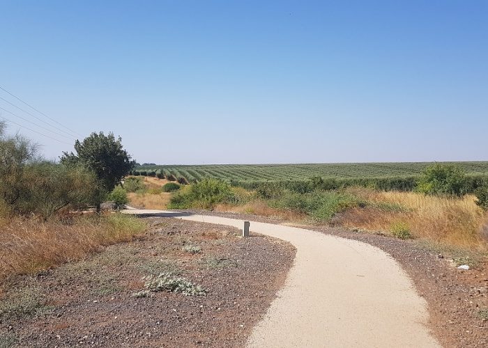 טיילת מצוקי האון ממצפה שלום למבוא חמה