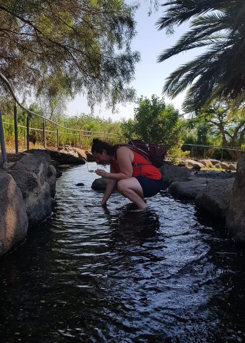 יער מבוא חמה ועין תאופיק (עין עקוב) – פארק מטיילים ומעיין זורם