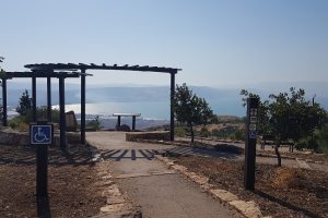 בשביל כנרת מנדל - יער מבוא חמה מצפה נגיש