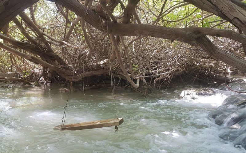 המפלים הלבנים עמק המעיינות