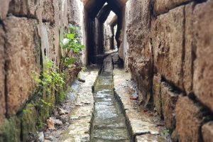 עין צור רמת הנדיב