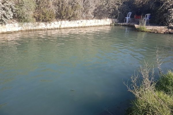 עין יבקע נחל ציפורי מעיין הסוסים
