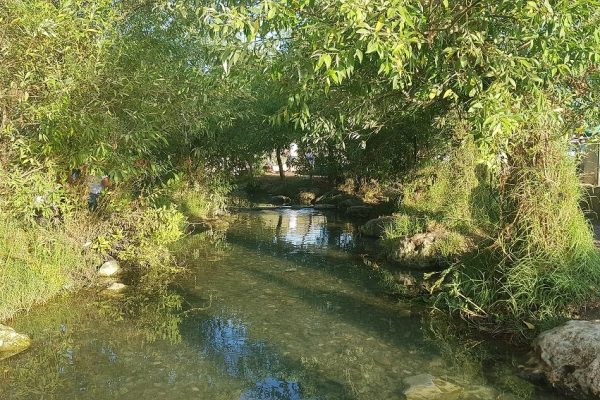 עין יבקע נחל ציפורי מעיין הסוסים