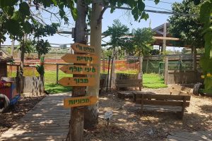 חאן ופארק דרך העץ – פארק קמפינג ואטרקציות