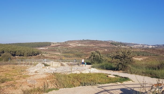 גן לאומי ציפורי