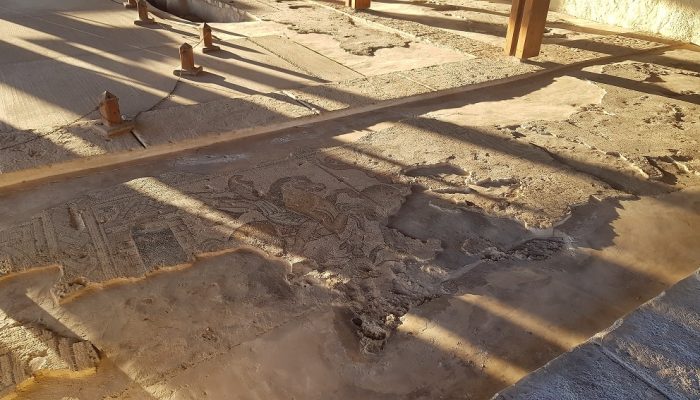 גן לאומי ציפורי