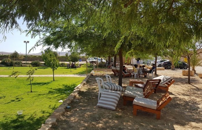 כרם רמון – כרם בלב מדבר