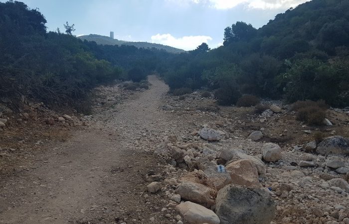 עין קדם טירת כרמל