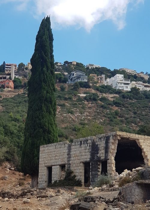 עין קדם טירת כרמל