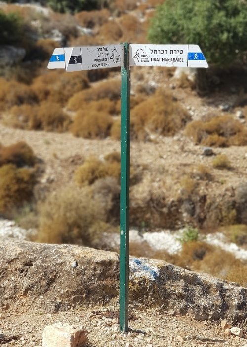 עין קדם טירת כרמל