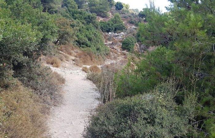 עין קדם טירת כרמל