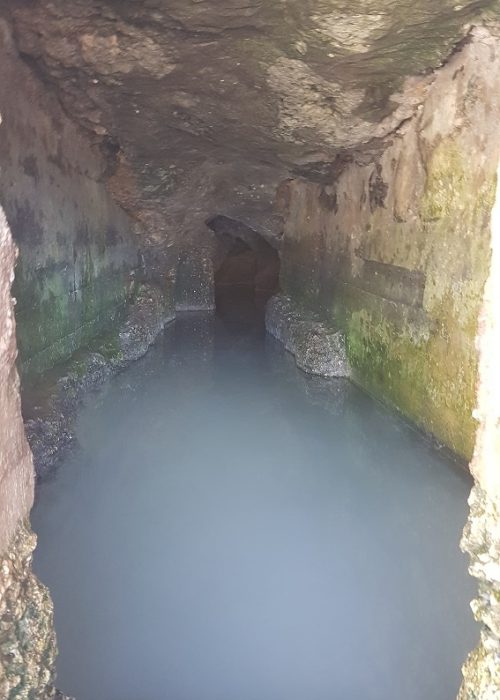 עין קדם טירת כרמל