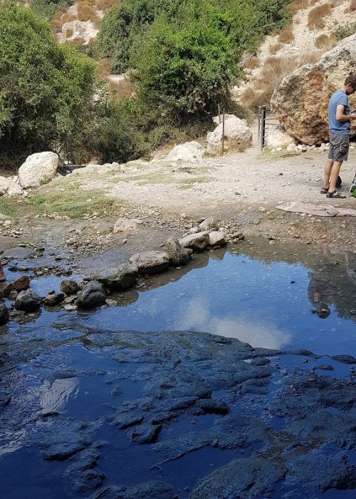 עין קדם טירת כרמל