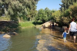 חורשת גדעון - בריכת גידעונה נחל חרוד