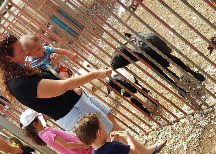 חוות התוכים בכפר הס