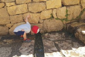 טיול מעגלי בסטף למשפחות