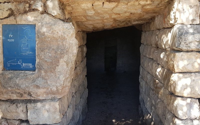 טיול מעגלי בסטף למשפחות