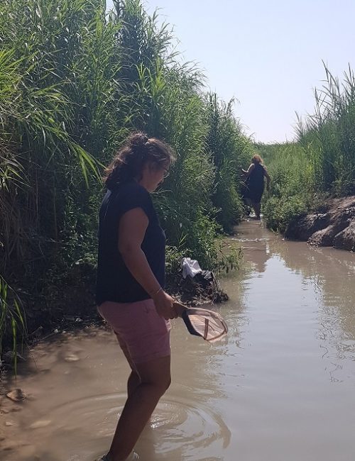 עין אביאל - נחל תנינים