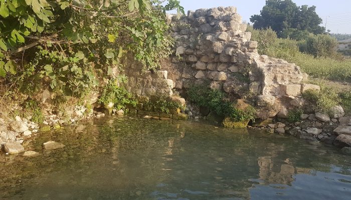 עינות ציפורי – מעיין צלול ומרענן שכדאי לכם להכיר