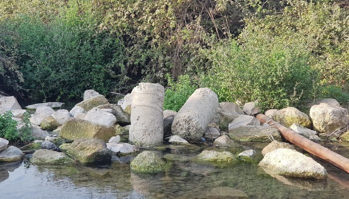 עינות ציפורי – מעיין צלול ומרענן שכדאי לכם להכיר