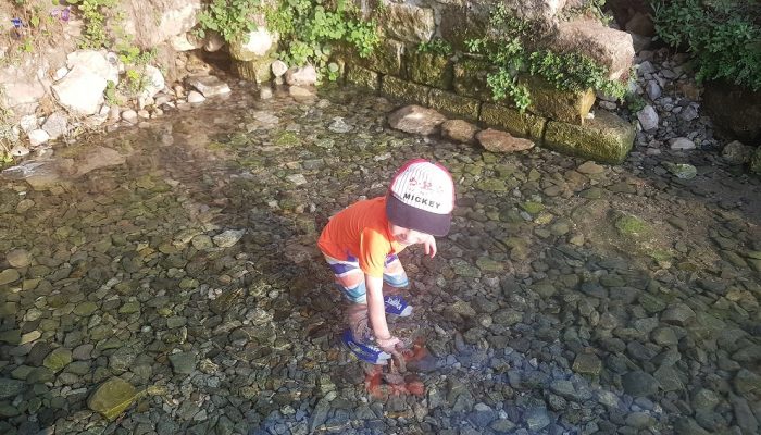 עינות ציפורי – מעיין צלול ומרענן שכדאי לכם להכיר