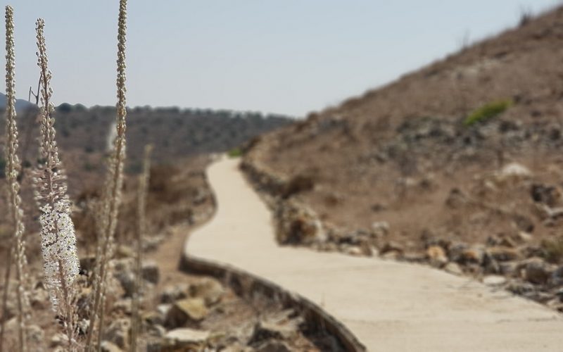 גן לאומי יודפת העתיקה - תל יודפת