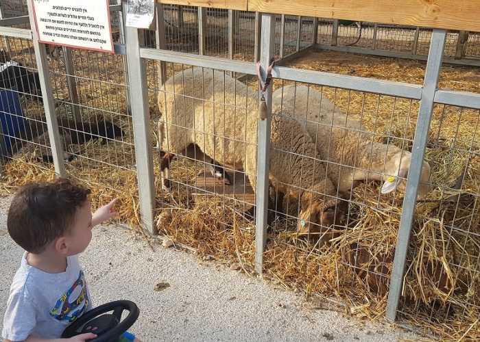 חוות הנדיב ברמת הנדיב – זכרון יעקב