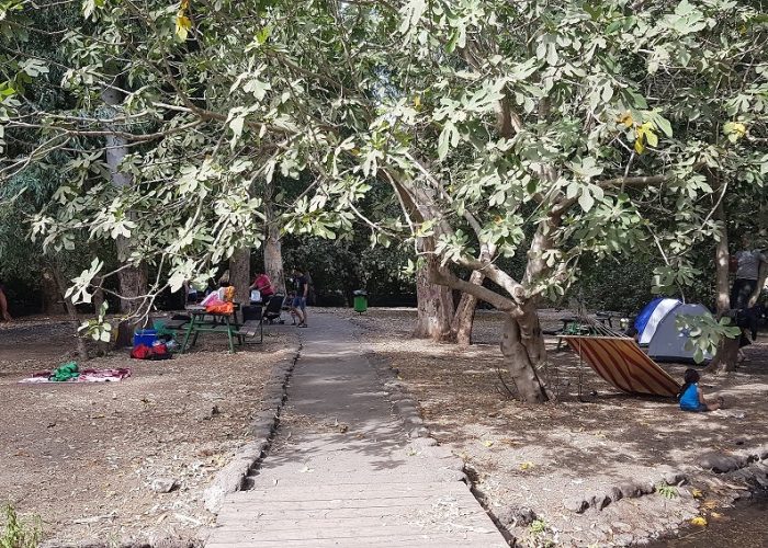 חניון אשמורה – חניון הדרדרה למרגלות הגולן