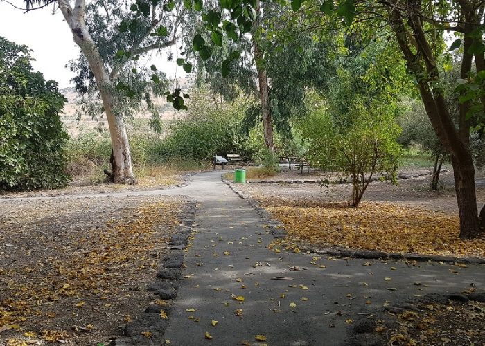 חניון אשמורה – חניון הדרדרה למרגלות הגולן