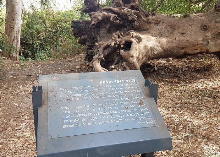 חניון אשמורה – חניון הדרדרה למרגלות הגולן