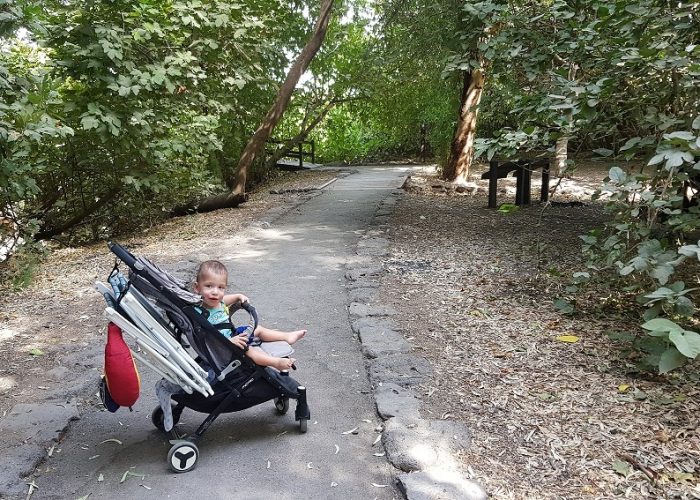 חניון אשמורה – חניון הדרדרה למרגלות הגולן