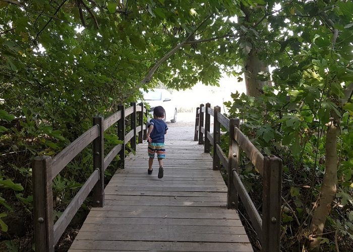 חניון אשמורה – חניון הדרדרה למרגלות הגולן