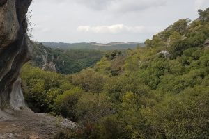 הצניר בנחל כלח – שוויצריה הקטנה פארק הכרמל