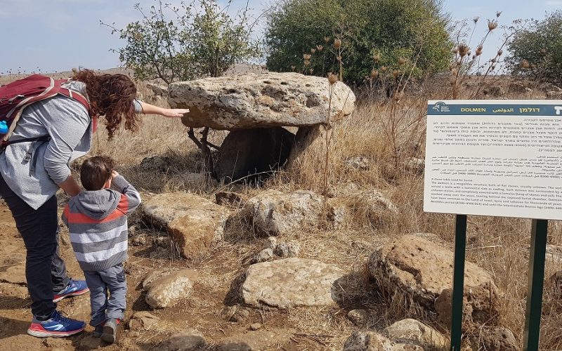 שמורת הטבע גמלא