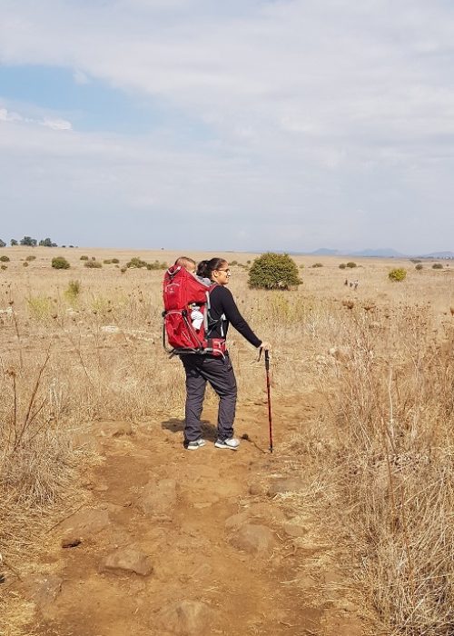 שמורת הטבע גמלא