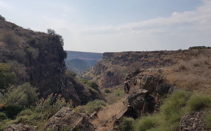 שמורת הטבע גמלא