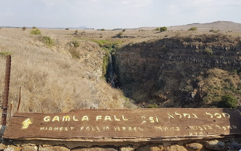 שמורת הטבע גמלא