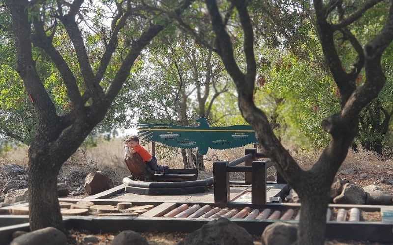 שמורת הטבע גמלא