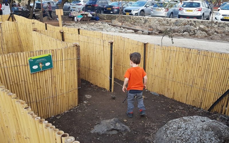 שמורת הטבע גמלא