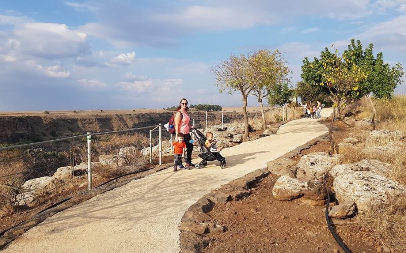 שמורת הטבע גמלא