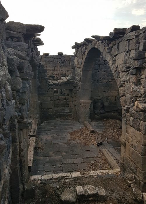 שמורת הטבע גמלא